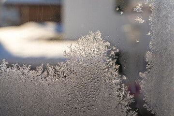 Eiskristalle im Winter am Fenster