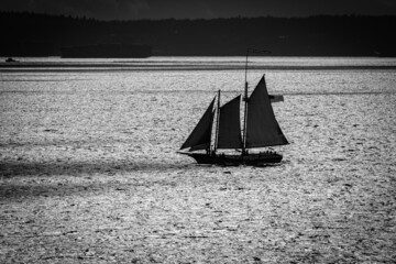 Black and White silhouette of a sail boat on the sea at sunset