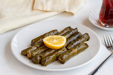 Delicious dolma (sarma) stuffed grape leaves rice, white yogurt sauce. Stuffed grape leaves on white background. Lebanese dolma sarma on plate. Lebanon turkish greek middle eastern cuisine.