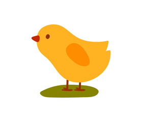 Yellow cute chicken. Animal standing on lawn. Charming Stickers and badges for childrens. Farming, wildlife, fauna, agriculture. Cartoon flat vector illustration isolated on white background