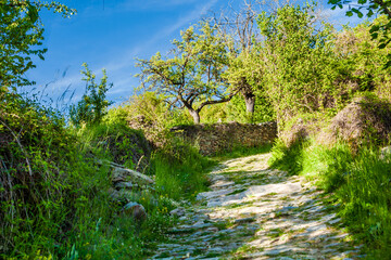 Fototapeta premium Kovachevitsa, Bulgaria