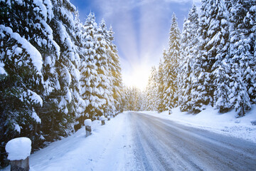 Snowy road through the Christmas tree to meet the bright sun.