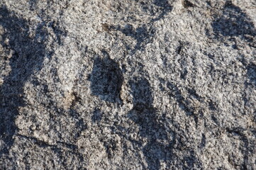 Chisled Granite with Black and White Flecks as Background