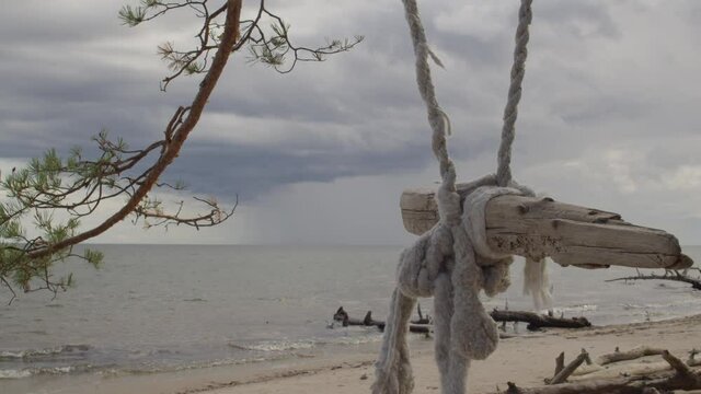 Old wooden swing hanging from a tree on a beach with upcoming storm far away in the sea.