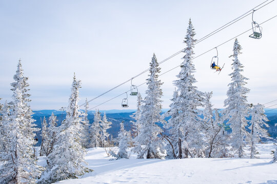 Winter landscape in Sheregesh ski resort in Russia, located in Mountain Shoriya, Siberia. Snow-covered fir trees on the background of mountains