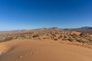 Fototapeta na wymiar sand dunes in red sands