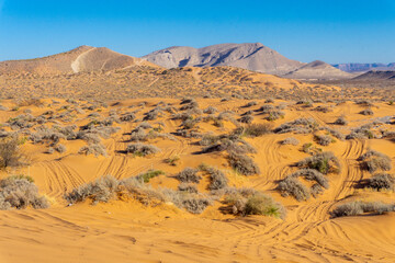Fototapeta na wymiar el paos desert duns