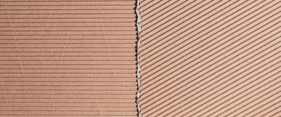 Torn pieces of packaging cardboard