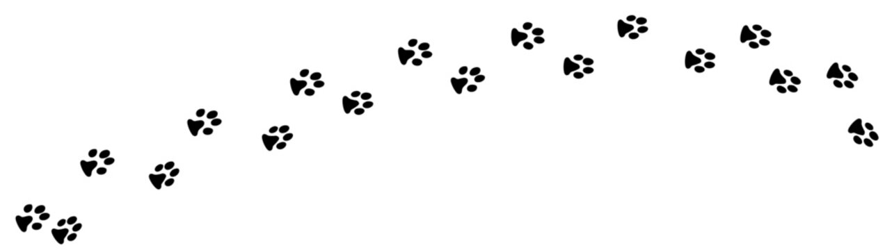 Animal paw print foot trail. Dog, cat paw print. Vector silhouette