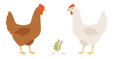 Red and white hens. Two chicken on a farm yard. Vector illustration