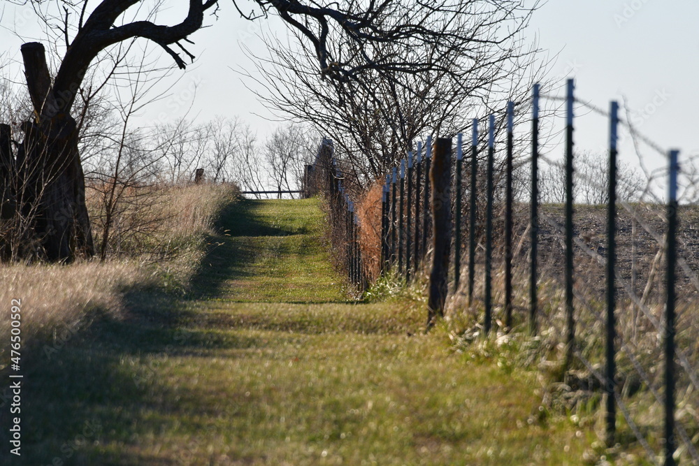 Sticker path by a barbed wire fence in a farm field