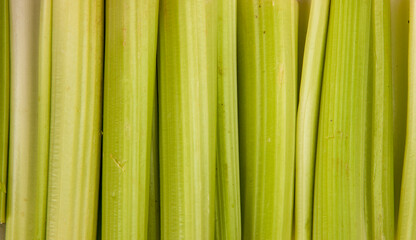 Extreme closeup texture of green leaf