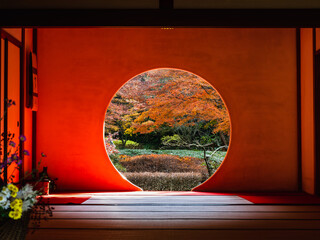 秋の鎌倉　明月院