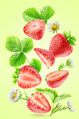 A whole ripe strawberry, its pieces, leaves and flowers levitate isolated on a light green background.