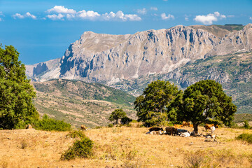 View of Rocche del Crasto near Alcara Li Fusi town in the Nebrodi Park, Sicily