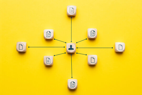 Concept document management system or DMS. The manager structures and maintains the system.