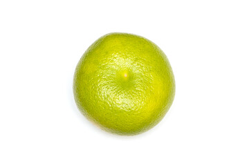 Hybrid citrus fruit.