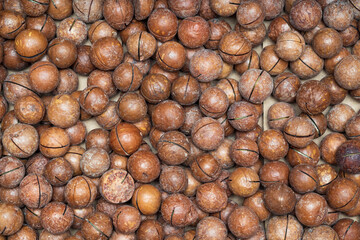 Macadamia texture