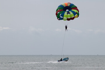 kite on the beach