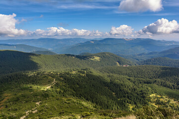 Obraz premium Trail to Mount Hoverla. Carpathian Mountains in Ukraine.