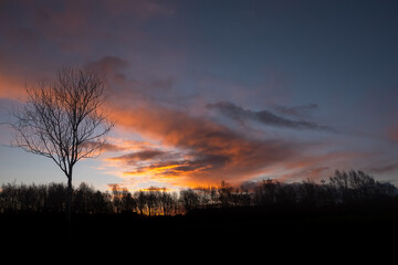 Silhouette of a trees in a park and stunning sunrise cloudy sky with rich, saturated colors. Warm orange and cool blue tone.