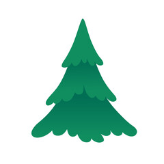 Fir or pine tree. Vector illustration isolated on white.