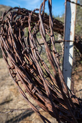 A Coil of Barbed Wire Devil's Rope, used for Ranch Fencing Hanging on a Metal Fence Pole and Rusting in the Elements