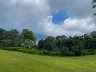 Bedugul Botanical Gardens, Bali, Indonesia (17 December 2021): Natural green grass stretches across the trees. A gathering place for family vacations in Bali.