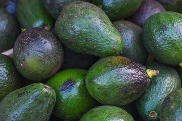 avocado