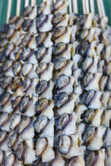 fresh fish at the market