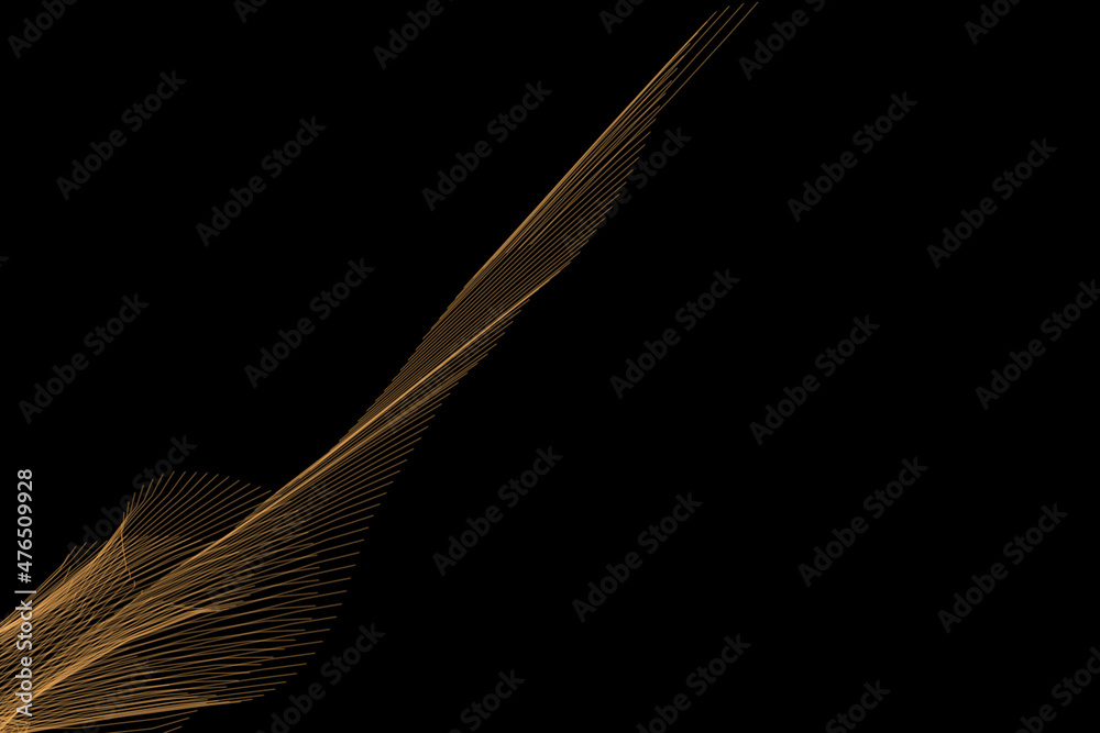 Fototapete abstract network background lines. abstract futuristic with connection lines on black background