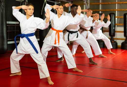 Group of people, Caucasian, African-american, Hispanic, Asian people in kimono standing in row doing kata moves in gym.