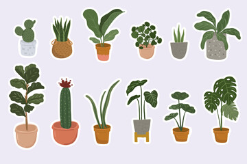 Fototapeta na wymiar urban house plant illustration sticker collection