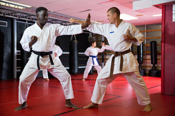African-american and caucasian men in kimono and belts fighting against each other during karate...