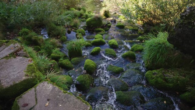 Stream Flowing into Yoshida River on Summer Day in Gujo Hachiman Japan