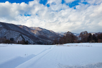 Fototapeta premium snow covered mountains
