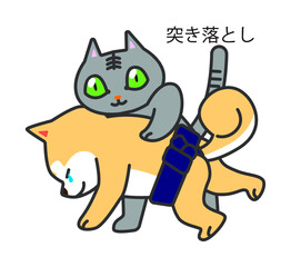 犬猫相撲　突き落とし