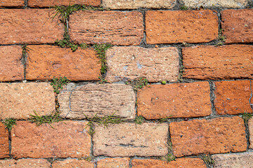 Red Bricks with green moss texture