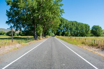 Fototapeta na wymiar Country Road, New Zealand Summer Roadtrip