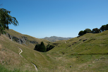 Fototapeta na wymiar Valley View - Te Mata Peak, Hawkes Bay, New Zealand