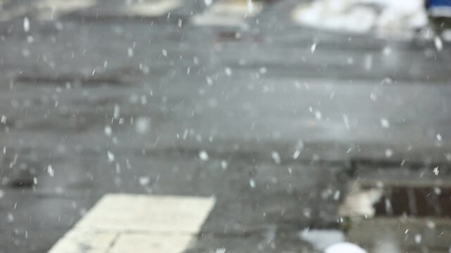 雪が降る街　冬の情景　道路