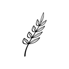 leaf branch graphic design template vector