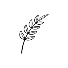 leaf branch graphic design template vector