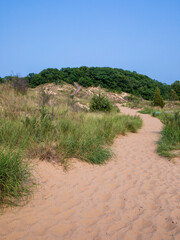 Fototapeta na wymiar Sand dunes at West Beach Dune Succession Trail, Indiana Dunes National Park lake shore in Summer.