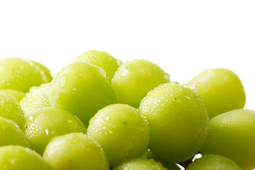 種無しのシャインマスカット　Seedless Shine Muscat