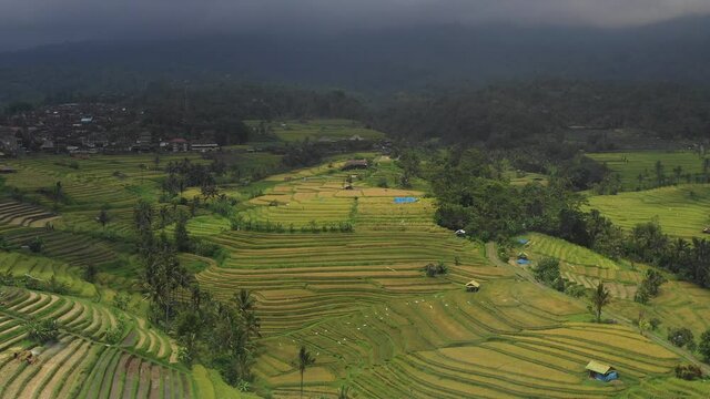 Drone footage flying over Jatiluwih Rice Terraces in Bali. The largest rice paddies on the island!