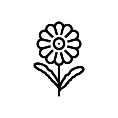 Black line icon for daisy