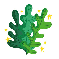 seaweed cartoon icon