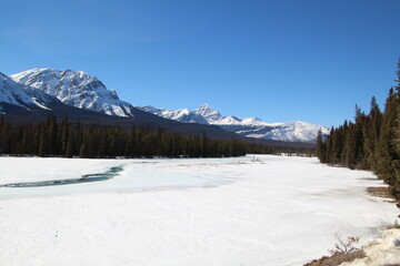 Cold Land, Jasper National Park, Alberta