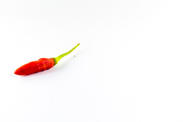 one red cayenne pepper and its stalk on an isolated white background.